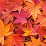 ヒメ日記 2025/10/31 08:41 投稿 ゆき 大奥 梅田店