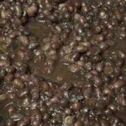 ヒメ日記 2025/11/04 20:59 投稿 ゆき 大奥 梅田店