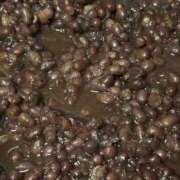 ヒメ日記 2025/11/04 21:11 投稿 ゆき 大奥 梅田店