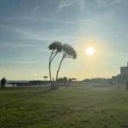 ヒメ日記 2025/11/11 14:52 投稿 まゆ スピードエコ難波店