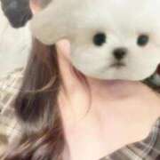 しのぶ もっと… 黒い金魚（札幌）