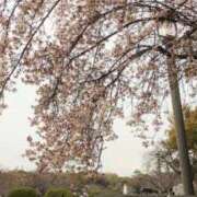 ヒメ日記 2026/03/22 15:22 投稿 あきこ 熟女総本店