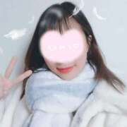 ヒメ日記 2025/11/15 06:20 投稿 こはる 電車ごっこ