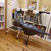 ヒメ日記 2025/11/15 20:10 投稿 こはる 電車ごっこ