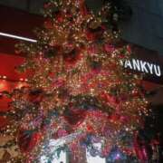 ヒメ日記 2025/11/22 22:28 投稿 こはる 電車ごっこ