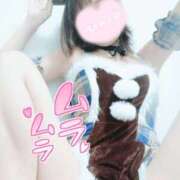 ヒメ日記 2025/12/05 08:51 投稿 こはる 電車ごっこ