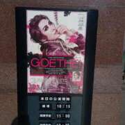 ヒメ日記 2025/12/05 09:00 投稿 こはる 電車ごっこ