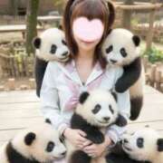 ヒメ日記 2026/01/22 14:40 投稿 こはる 電車ごっこ