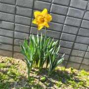 ヒメ日記 2026/02/17 19:40 投稿 こはる 電車ごっこ