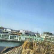 ヒメ日記 2026/02/23 14:50 投稿 こはる 電車ごっこ