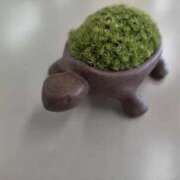 ヒメ日記 2026/03/01 14:10 投稿 こはる 電車ごっこ