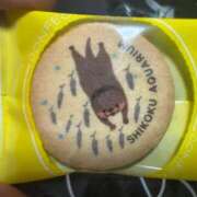 ヒメ日記 2026/03/28 21:37 投稿 こはる 電車ごっこ