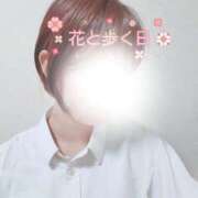 ヒメ日記 2026/03/31 15:20 投稿 こはる 電車ごっこ