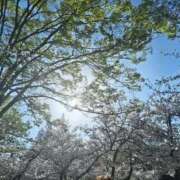 ヒメ日記 2026/04/18 10:10 投稿 こはる 電車ごっこ