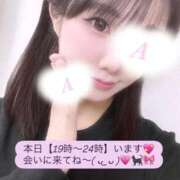 ヒメ日記 2026/04/13 17:20 投稿 あみな 京都出張メンズエステChou Chou（シュシュ)