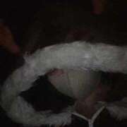 ヒメ日記 2025/12/22 13:24 投稿 真白めめ 手コキ研修塾