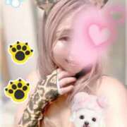 ヒメ日記 2026/01/24 12:53 投稿 ゆめな 横浜風俗 横浜いきなりビンビン伝説