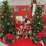 ヒメ日記 2025/11/27 23:45 投稿 しいな(神乳Lカップ) ぽっちゃり女神 あぷろでぃーて