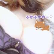 ヒメ日記 2026/03/27 16:13 投稿 しいな(神乳Lカップ) ぽっちゃり女神 あぷろでぃーて