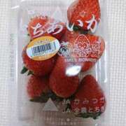 ヒメ日記 2026/01/25 19:14 投稿 ななせ モアグループ宇都宮人妻花壇