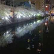 ヒメ日記 2026/04/10 12:10 投稿 ななせ モアグループ宇都宮人妻花壇