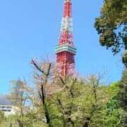 ヒメ日記 2026/04/12 19:00 投稿 ななせ モアグループ宇都宮人妻花壇