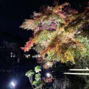 今田 復活🥲 鶯谷人妻城