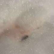 ふう 1番になって🥺 変態ドットコム～即尺痴女伝説