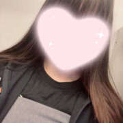 ヒメ日記 2025/11/25 21:12 投稿 ここ パイの巣