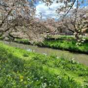 ヒメ日記 2026/04/02 18:09 投稿 じゅり 熟女の風俗最終章 仙台店