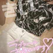 ヒメ日記 2026/04/20 17:33 投稿 きい 奥様メモリアル