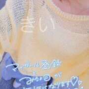 ヒメ日記 2026/06/09 09:57 投稿 きい 奥様メモリアル