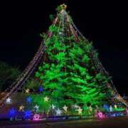 ヒメ日記 2025/12/15 10:49 投稿 りえ あとりえ(ATELIER)