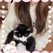 ヒメ日記 2026/02/02 10:00 投稿 りえ あとりえ(ATELIER)