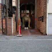 ヒメ日記 2026/01/15 20:29 投稿 そると 静岡駅前ちゃんこ