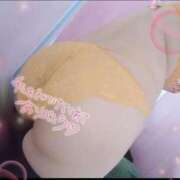 ヒメ日記 2026/01/21 21:17 投稿 そると 静岡駅前ちゃんこ