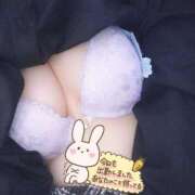 ヒメ日記 2026/01/23 13:18 投稿 そると 静岡駅前ちゃんこ