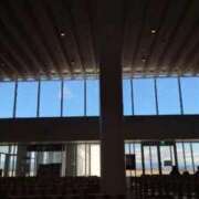 ヒメ日記 2026/01/29 12:59 投稿 そると 静岡駅前ちゃんこ