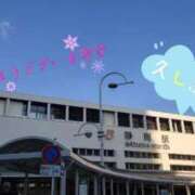 ヒメ日記 2026/03/01 11:18 投稿 そると 静岡駅前ちゃんこ