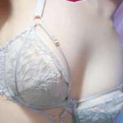 ヒメ日記 2026/03/05 01:08 投稿 そると 静岡駅前ちゃんこ