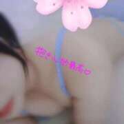 ヒメ日記 2026/03/08 17:24 投稿 そると 静岡駅前ちゃんこ