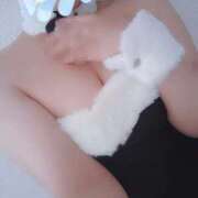 ヒメ日記 2026/03/23 17:38 投稿 そると 静岡駅前ちゃんこ