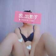 ヒメ日記 2026/03/28 10:58 投稿 そると 静岡駅前ちゃんこ