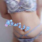 ヒメ日記 2026/03/29 04:38 投稿 そると 静岡駅前ちゃんこ