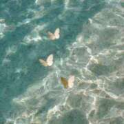 アイナ お休み頂いてます? アリスマリオン