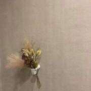 ヒメ日記 2025/11/27 09:34 投稿 さら いざ候 別館