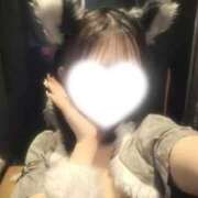 ヒメ日記 2026/02/05 12:54 投稿 さら いざ候 別館