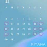 ヒメ日記 2025/11/09 20:29 投稿 ミタマ秘書 秘書の品格 クラブアッシュ ヴァリエ