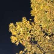 ヒメ日記 2025/11/23 20:37 投稿 しの いざ候 本館