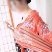 ヒメ日記 2025/12/15 10:37 投稿 しの いざ候 本館